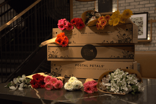 BBL DAISIES Postal Petal DIY Biggie Bloom Box