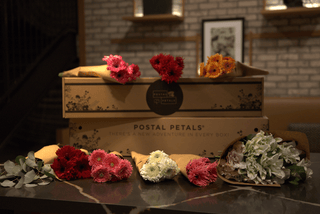 BBL DAISIES Postal Petal DIY Midi Bloom Box