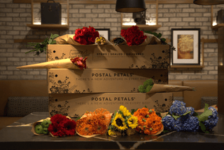 BLOOM WITH PRIDE Postal Petal DIY Biggie Bloom Box