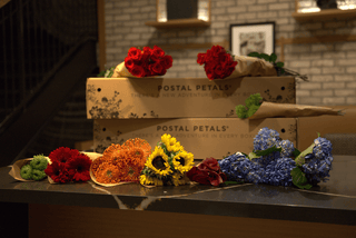 BLOOM WITH PRIDE Postal Petal DIY Midi Bloom Box