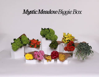 Biggie Box Subscription