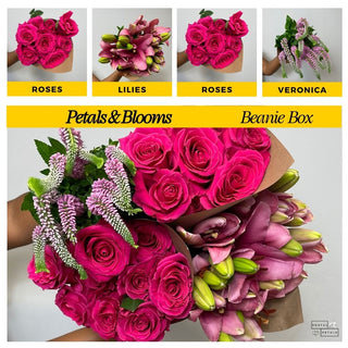 Send a Beanie Box Subscription – DIY Floral Arranging