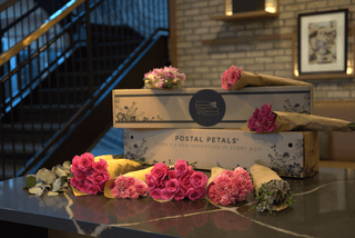 RHYTM & BLOOMS Postal Petal DIY Midi Bloom Box