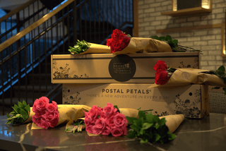 SUMMER BREEZE Postal Petal DIY Midi Bloom Box