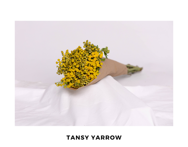 Dried Tansy & Ranunculus Bouquet