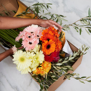 Hands holding a bouquet of flowers in a Postal Petal box